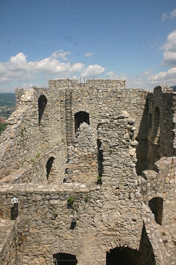 img00254.jpg