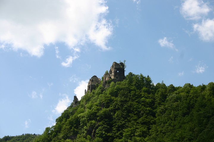 img00286.jpg