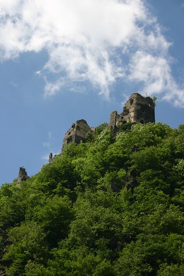 img00288.jpg