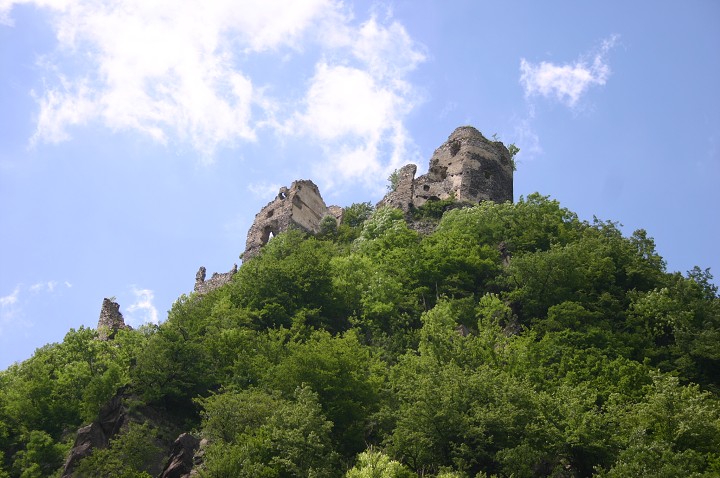 img00289.jpg