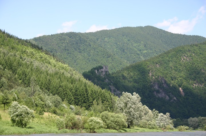 img00295.jpg