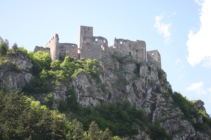 img00305.jpg