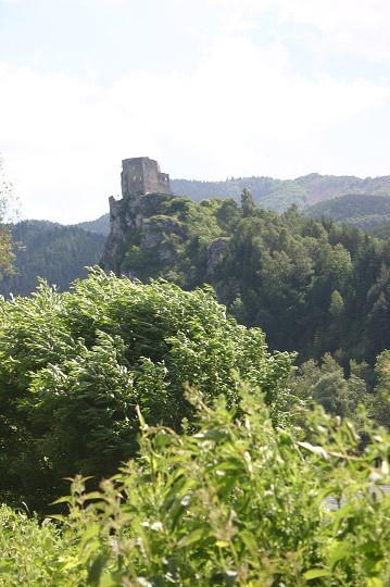 img00310.jpg