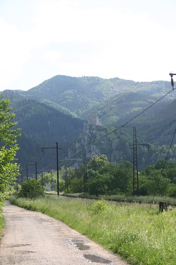 img00311.jpg