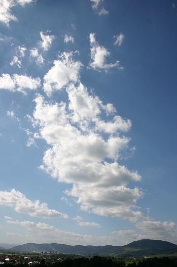 img00312.jpg