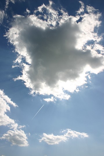 img00313.jpg