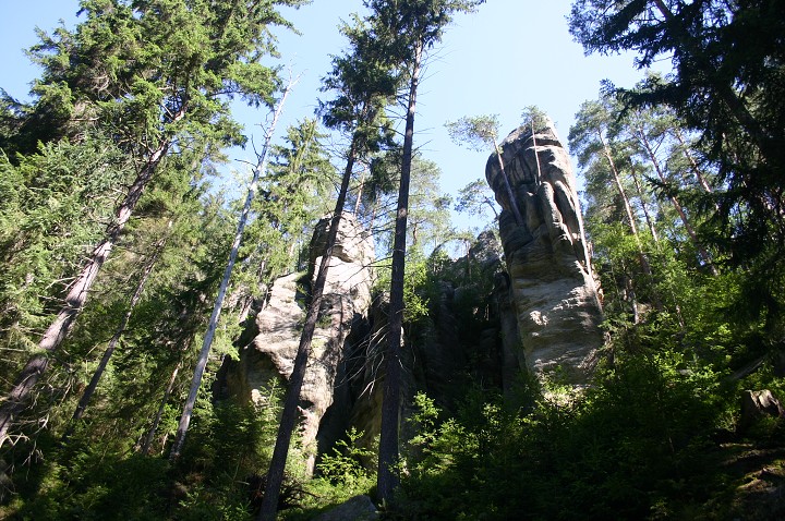 img00183.jpg