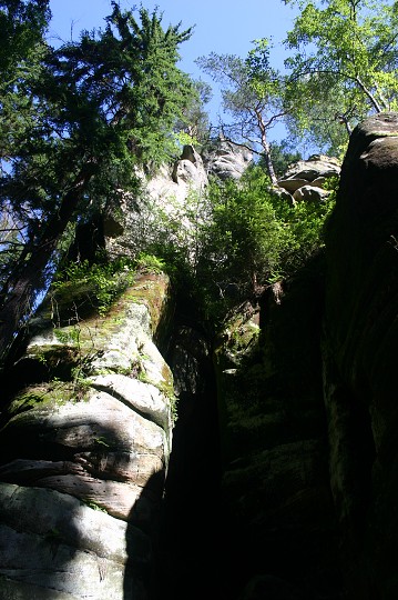 img00184.jpg