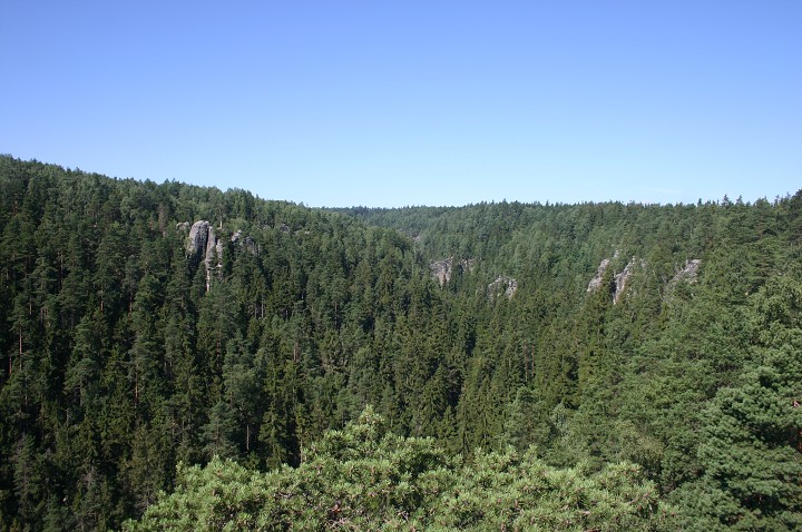 img00186.jpg