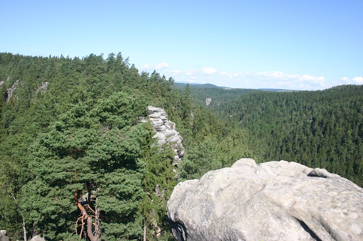 img00188.jpg