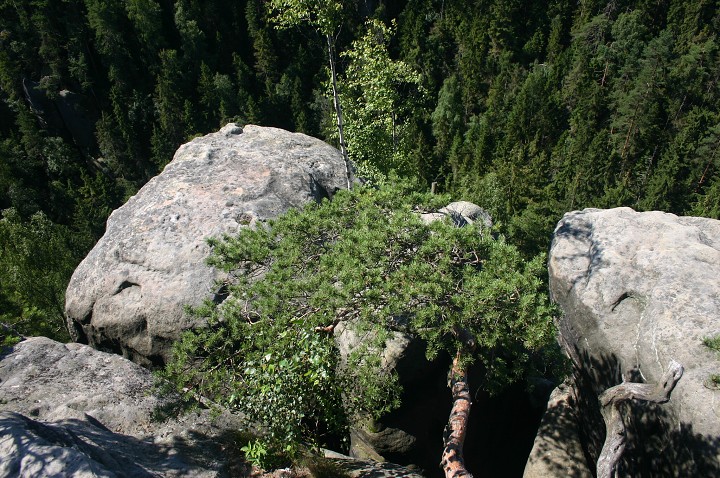 img00191.jpg