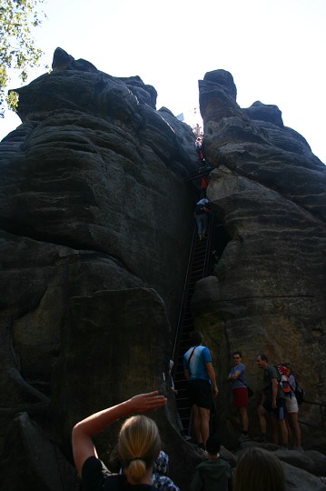 img00195.jpg