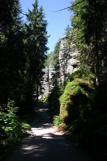 img00196.jpg