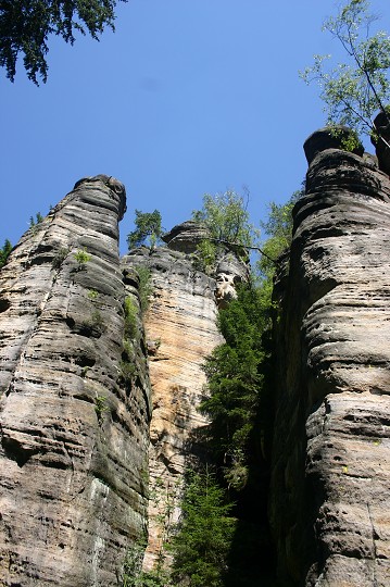 img00198.jpg