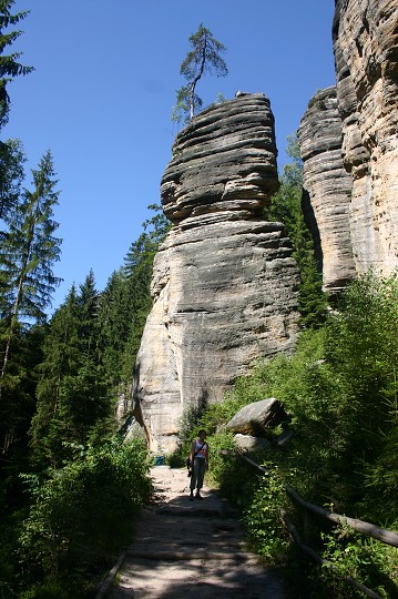 img00199.jpg