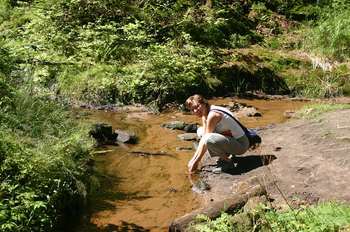 img00201.jpg