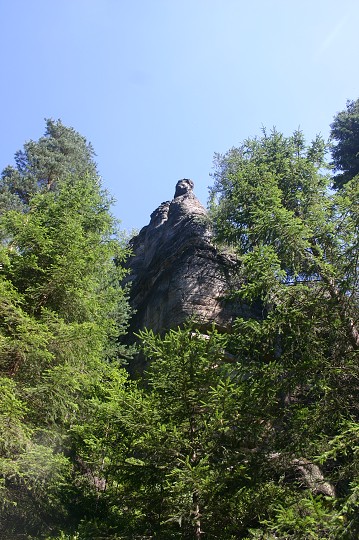 img00202.jpg