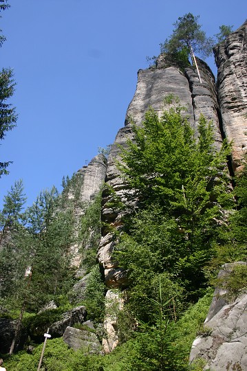 img00203.jpg
