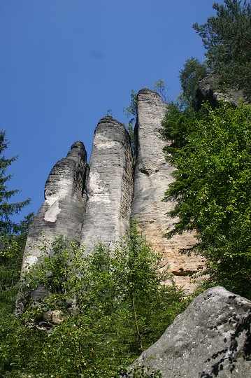 img00205.jpg