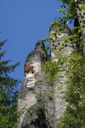 img00206.jpg