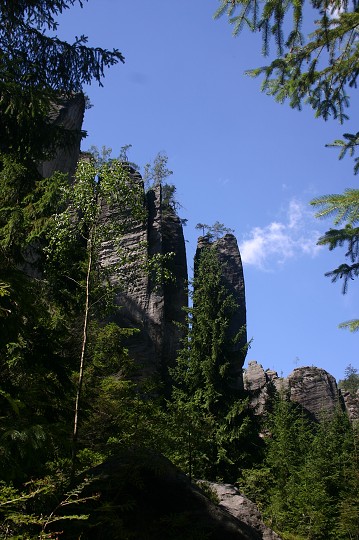 img00207.jpg