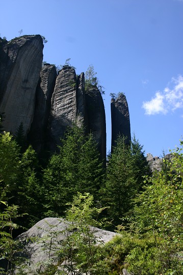 img00208.jpg