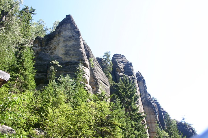 img00209.jpg