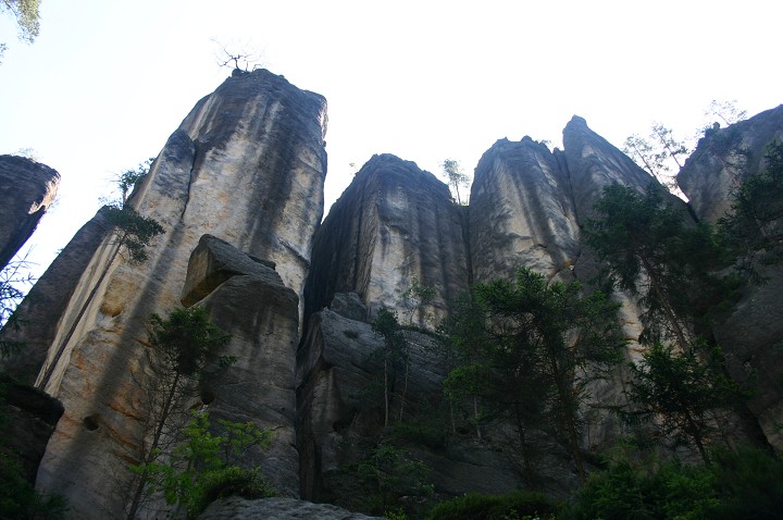 img00214.jpg