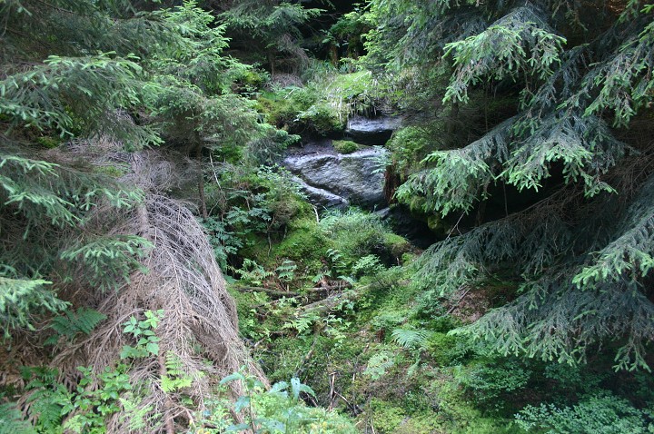 img00216.jpg