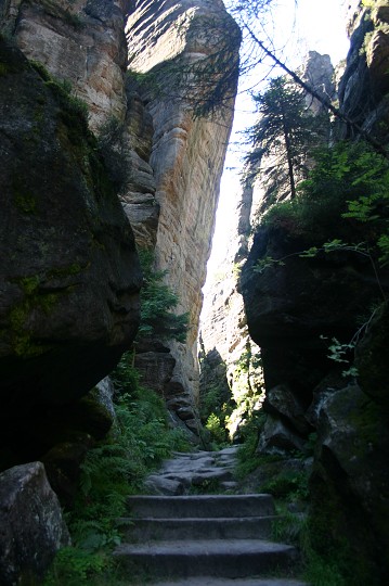 img00217.jpg