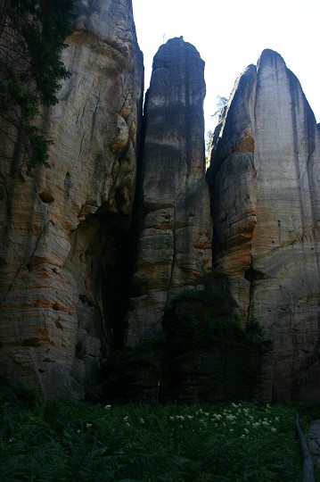 img00218.jpg