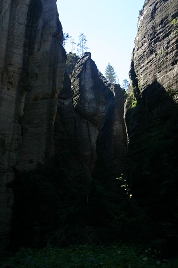 img00219.jpg