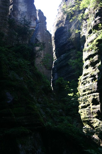img00220.jpg