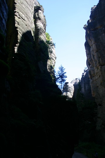 img00222.jpg