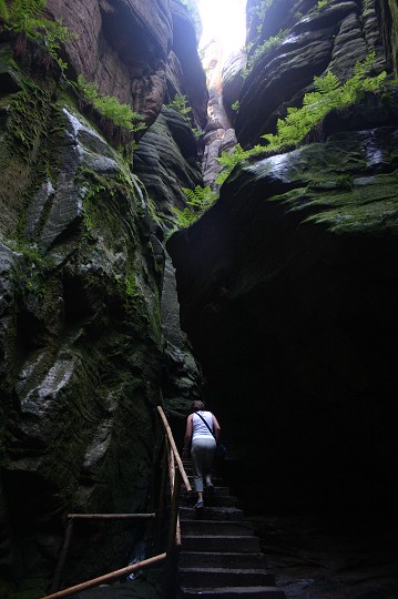 img00225.jpg
