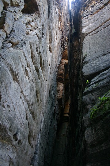 img00229.jpg