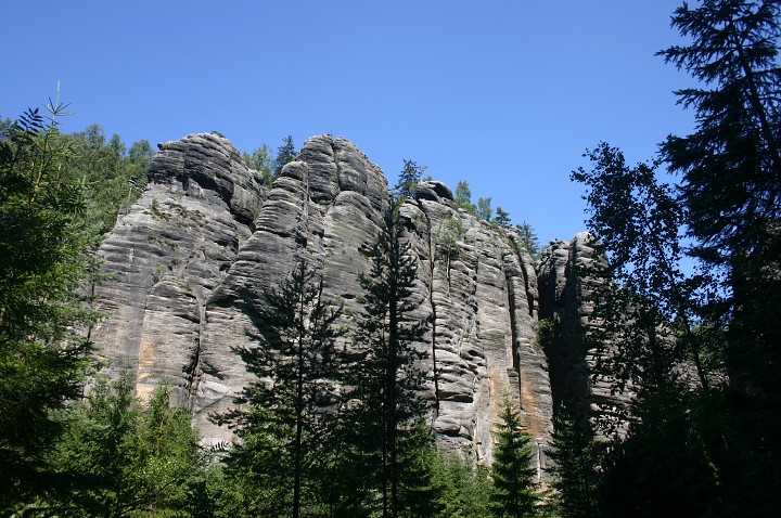 img00232.jpg