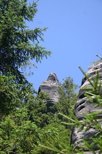 img00240.jpg