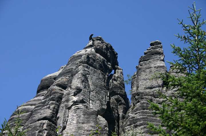 img00242.jpg