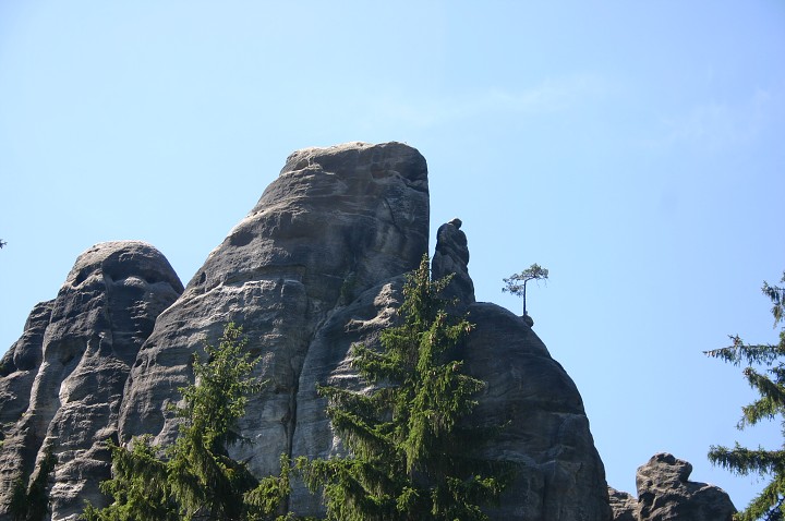 img00243.jpg