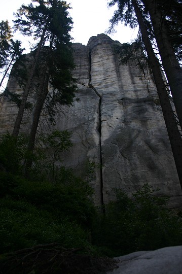 img00246.jpg