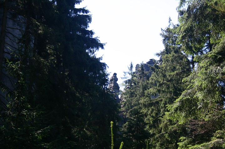 img00247.jpg