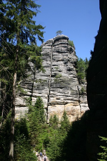 img00248.jpg