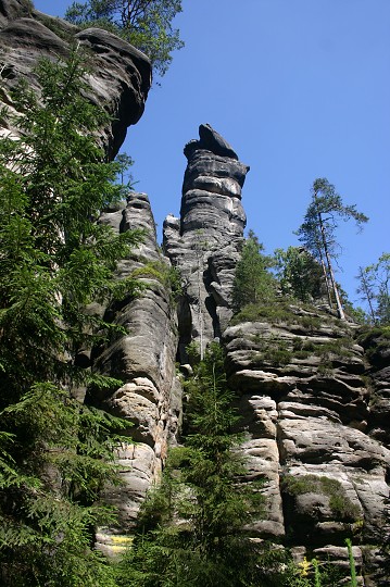 img00249.jpg