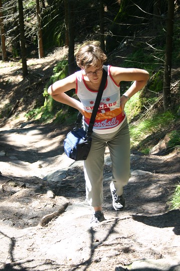 img00252.jpg