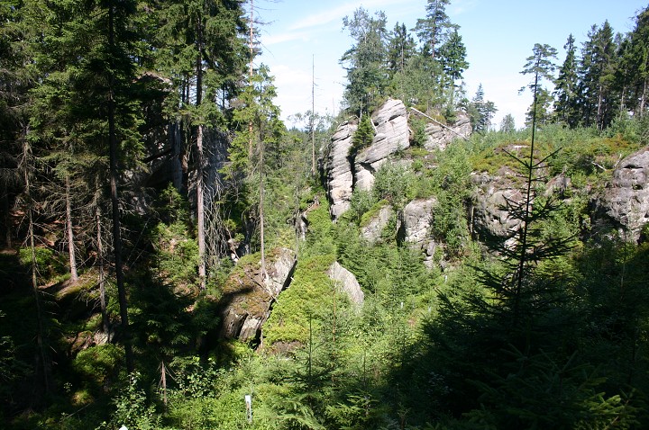 img00254.jpg