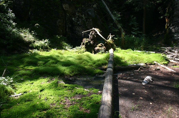 img00256.jpg