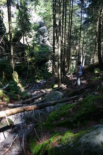 img00257.jpg