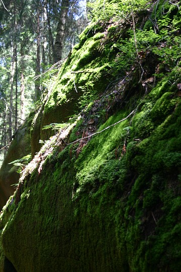 img00258.jpg