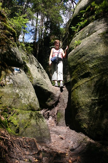img00259.jpg